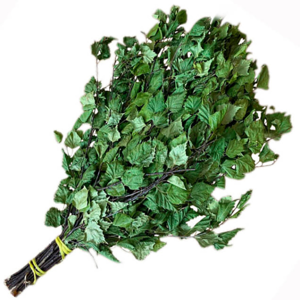 Веник для бани березовый Рушер в упаковке от фабрики RUШER